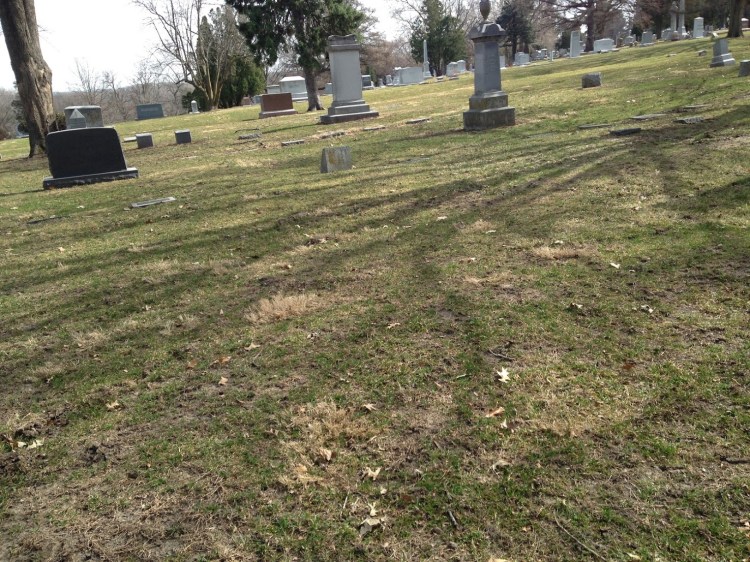 Forest Lawn Cemetery